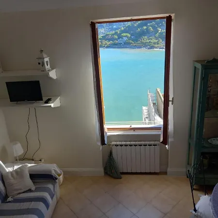 Vittoria 19 *